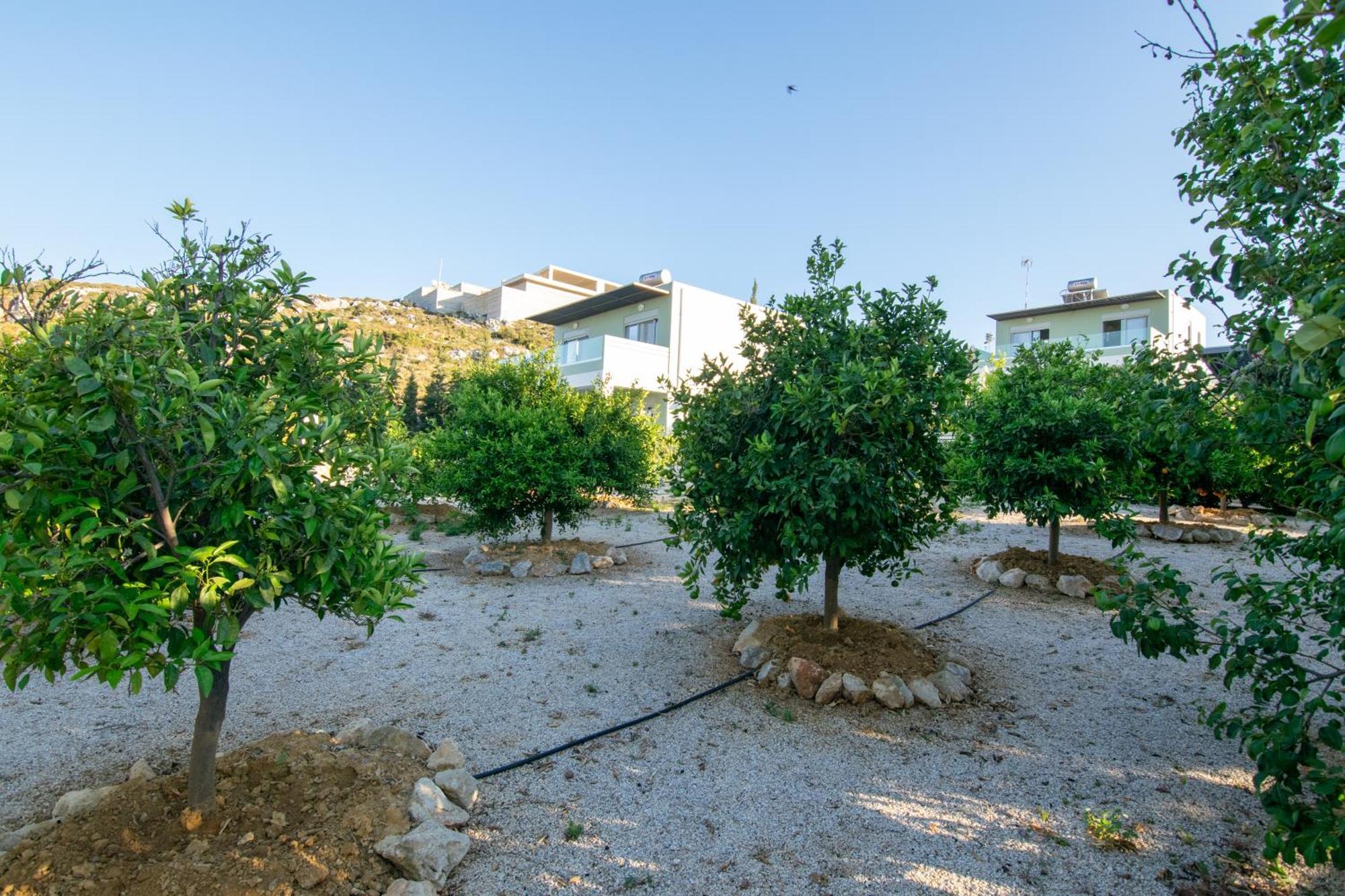 Κatakis Villas Agios Onoufrios Exterior foto