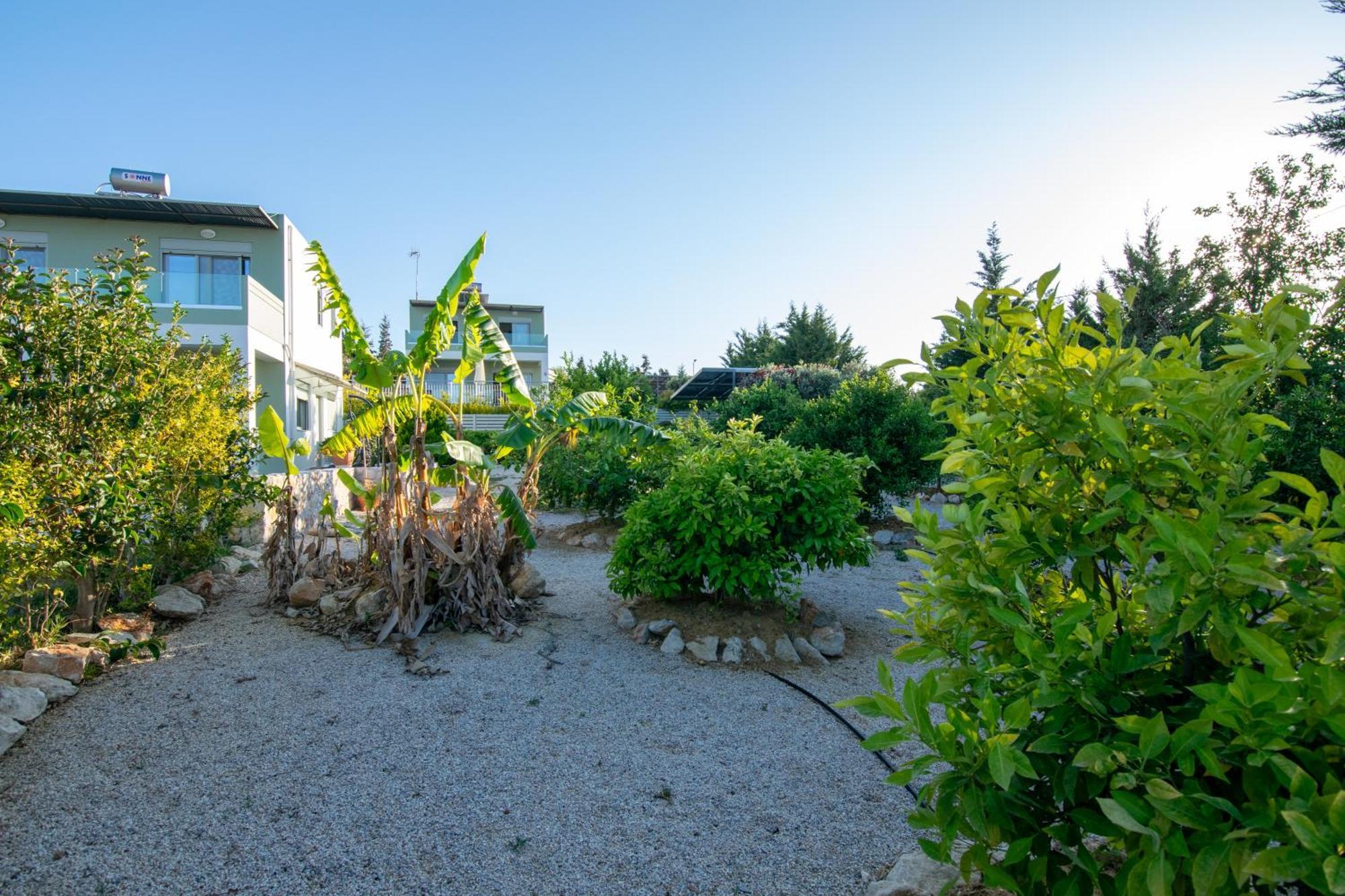 Κatakis Villas Agios Onoufrios Exterior foto
