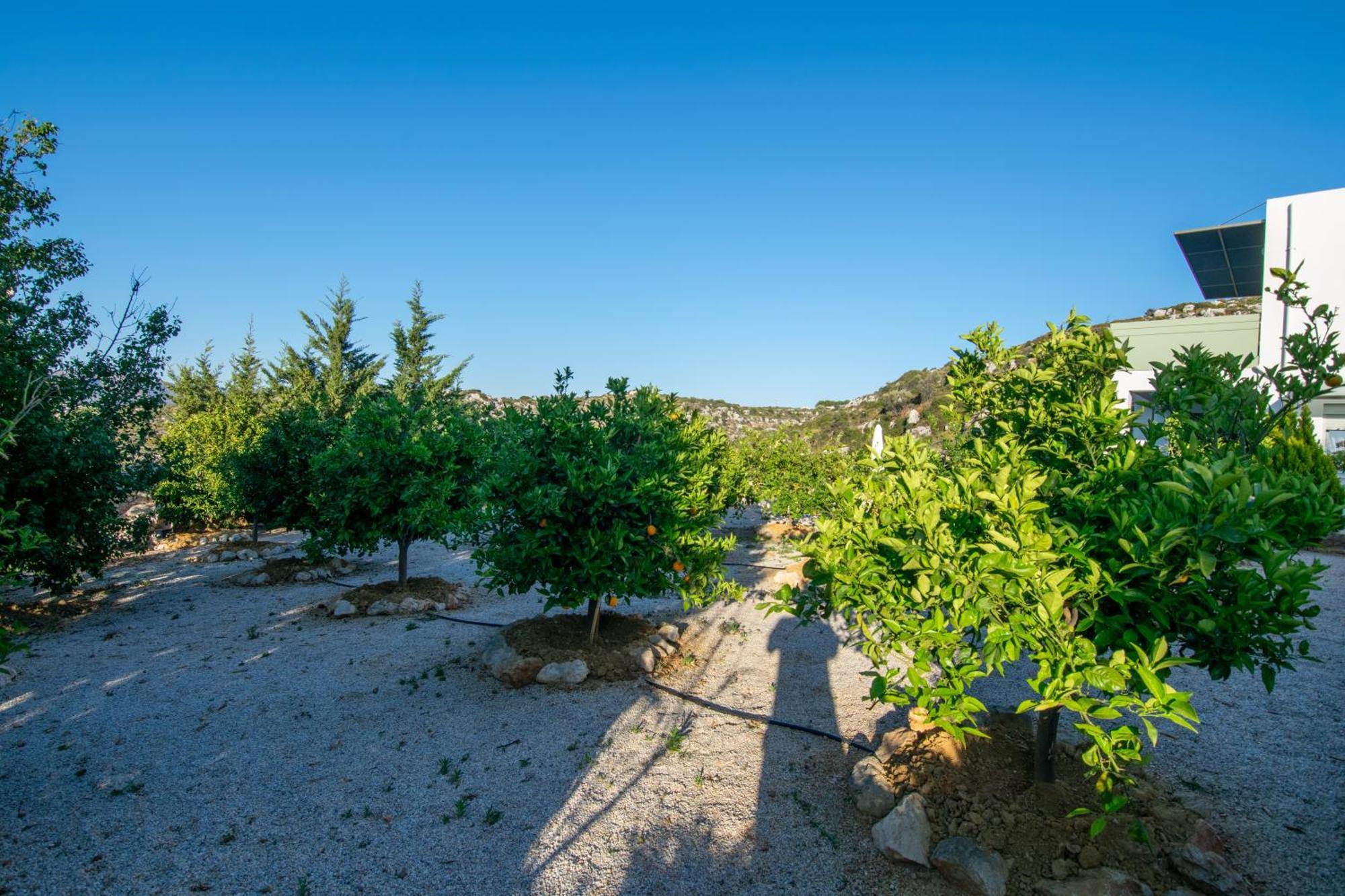 Κatakis Villas Agios Onoufrios Exterior foto