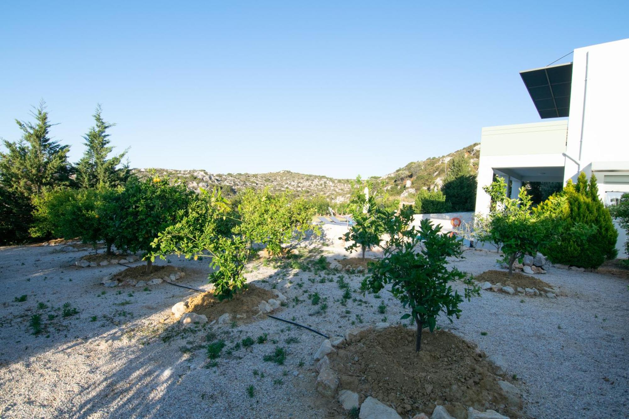 Κatakis Villas Agios Onoufrios Exterior foto
