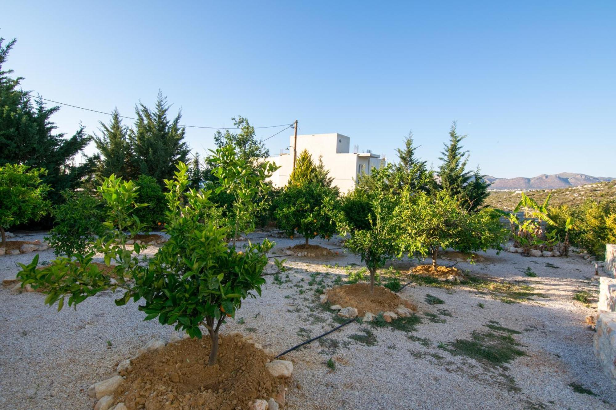 Κatakis Villas Agios Onoufrios Exterior foto